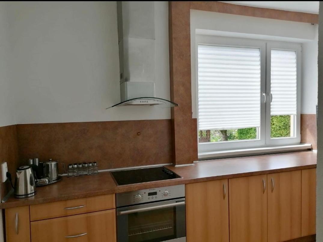 Prazdninovy Dom Villa Mlynceky Ngoại thất bức ảnh